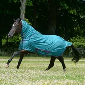 Derki dla konia - Bucas Derka siatkowa z kołnierzem FREEDOM - green/violet - miniaturka - grafika 1