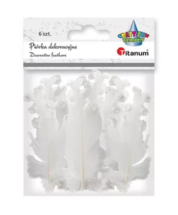 Titanum Piórka curly białe 6szt - Pozostałe akcesoria dla plastyków - miniaturka - grafika 1