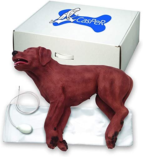 Simulaids 1020264 Manekin BLS Casper the CPR pies pierwsza pomoc weterynaryjna