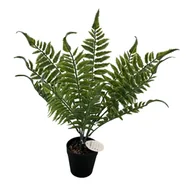 Sztuczne kwiaty - Paproć sztuczna doniczka 40 cm - miniaturka - grafika 1