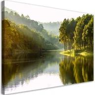 Obrazy i zdjęcia na płótnie - Obraz na płótnie, Krajobraz las drzewa natura (Rozmiar 60x40) - miniaturka - grafika 1