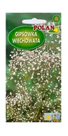 Nasiona i cebule - Gipsówka wiechowata - łyszczec 1 g POLAN - miniaturka - grafika 1