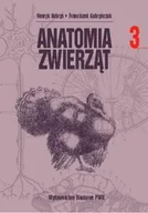 Nauki przyrodnicze - Anatomia zwierząt. Tom 3 - miniaturka - grafika 1