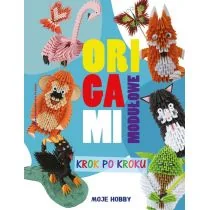 Wodzyńska Zofia Origami modułowe Krok po kroku - Podręczniki dla szkół wyższych - miniaturka - grafika 1