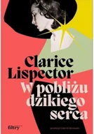 Literatura obyczajowa - w pobliżu dzikiego serca - miniaturka - grafika 1