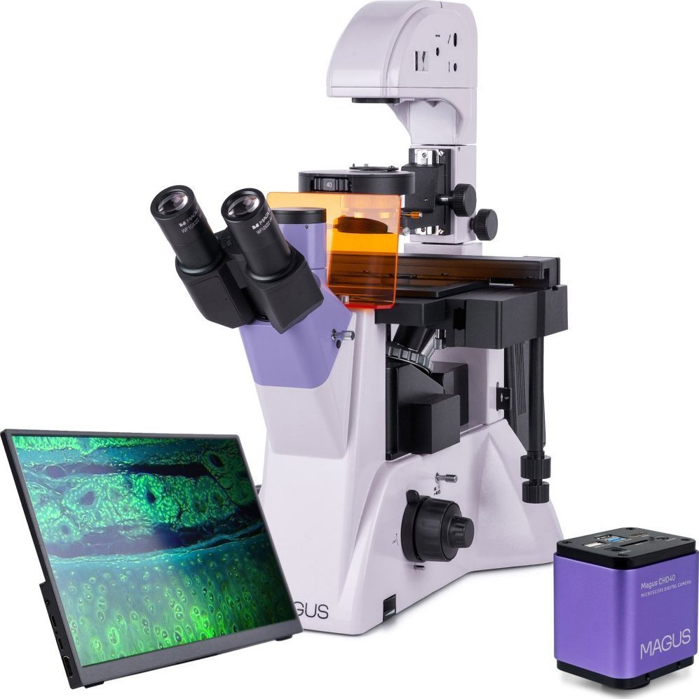 Mikroskop Magus Odwrócony mikroskop fluorescencyjny cyfrowy Lum VD500 LCD