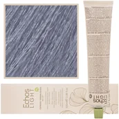 Farby do włosów i szampony koloryzujące - Echosline Echoslight Toner, Toner Koloryzujący Do Włosów Ash, 100ml - miniaturka - grafika 1