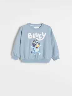 Reserved - Bluza Bluey - jasnoniebieski - Bluzy i sweterki niemowlęce - miniaturka - grafika 1