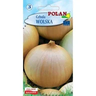 Nasiona i cebule - Cebula Wolska Polan - miniaturka - grafika 1