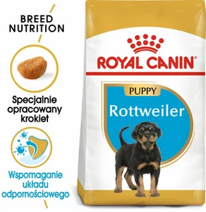 Royal Canin Rottweiler Junior 12 kg - Sucha karma dla psów - miniaturka - grafika 1