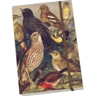 Skona Ting Notatnik ozdobny A5 STNOTE 129 Ptaki - Notesy i bloczki - miniaturka - grafika 1