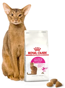ROYAL CANIN  Exigent Savour 35/30 Sensation 4kg karma sucha dla kotów dorosłych, wybrednych, kierujących się teksturą krokieta + niespodzianka dla kota GRATIS! - Sucha karma dla kotów - miniaturka - grafika 5