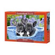 Puzzle - Castorland Puzzle 1000 el.:French Bulldog Puppies C-104246 - miniaturka - grafika 1