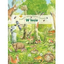 W lesie Nowa - Baśnie, bajki, legendy - miniaturka - grafika 1