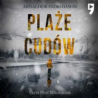 Audiobooki - kryminał, sensacja, thriller - Plaże cudów. Komisarz Erlendur Sveinsson. Tom 11 - miniaturka - grafika 1