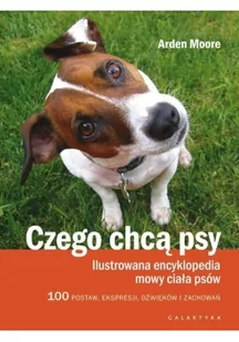 Galaktyka Czego chcą psy. Ilustrowana encyklopedia mowy ciała psów - Arden Moore - Rośliny i zwierzęta - miniaturka - grafika 3