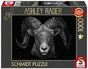 Puzzle - Puzzle, ASHLEY RADER Baran, 1000 el. - miniaturka - grafika 1