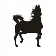 Naklejki na ścianę - Naklejka na ścianę - Koń 4, 66x48 cm - miniaturka - grafika 1