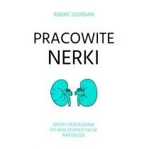 Pracowite nerki. Krótki przewodnik po wielofunkcyjnym narządzie