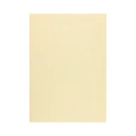 Papier do drukarek - Karton ozdobny A4 250g Natte kremowy (20) - miniaturka - grafika 1