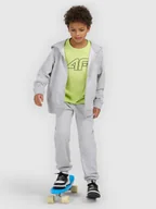 Koszulki dla chłopców - 4F T-shirt regular z nadrukiem chłopięcy - zielony 164 (13-14 lat) - miniaturka - grafika 1