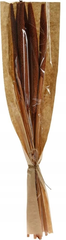 Bukiet Susz Natura B mix - wys. 60 cm