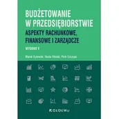 Finanse, księgowość, bankowość - Budżetowanie w przedsiębiorstwie. Aspekty rachunkowe, finansowe i zarządcze - miniaturka - grafika 1