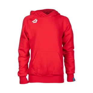 Bluza dziecięca Arena Junior Team Hooded Sweat Panel z kapturem - Bluzy dla dziewczynek - miniaturka - grafika 1