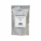 Nasiona i cebule - Nasiona Pietruszka Halblange 500g - W.Legutko - miniaturka - grafika 1