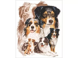 Haft Diamentowy, Obraz, Mozaika Diamentowa Diamond Painting, Pies - Owczarek Australijski 30X40Cm - Zabawki kreatywne - miniaturka - grafika 1
