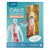 Mały naukowiec - Geniuz, Ciało Czlowieka - zestaw naukowy - miniaturka - grafika 1