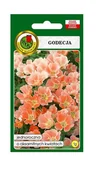 Nasiona i cebule - Godecja wielkokwiatowa Orange Glory 1 g PNOS Ożarów - miniaturka - grafika 1