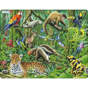 Larsen Puzzles Puzzles South American Rainforest LA-FH10 - Puzzle - miniaturka - grafika 1