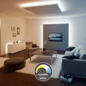 Taśmy LED - Paulmann MaxLED 500 taśma IP20 tunable white 1m - miniaturka - grafika 1