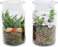 Dekoracje domu - Roślina w szklanej osłonce 1011 - miniaturka - grafika 1