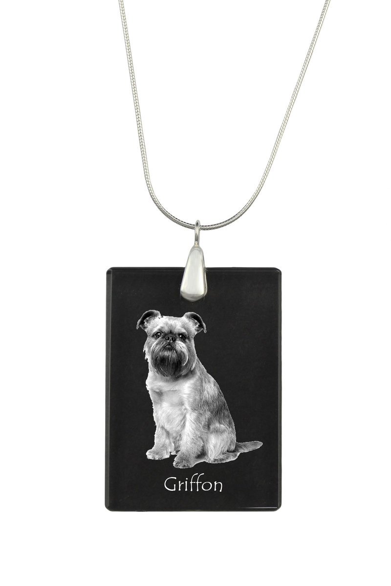 Gryfonik brukselski, Griffon bruxellois - kryształowa zawieszka z psem, srebrny naszyjnik ze zdjęciem, personalizowany wisiorek marki Art-Dog