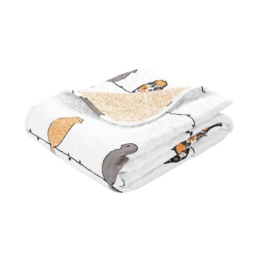 Lush Decor Rowley Birds Throw Blanket, 60