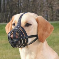 Kagańce dla psów - Julius K-9 Julius K-9 Leather Muzzle Kaganiec skórzany dla psa rozm M nr kat.19272 - miniaturka - grafika 1