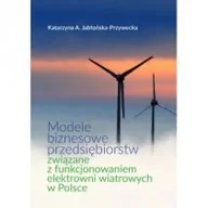 Biznes - FNCE Modele biznesowe przedsiębiorstw związane z funkcjonowaniem elektrowni wiatrowych w Polsce JABŁOŃSKA-PRZYWECKA KATARZYNA A. - miniaturka - grafika 1