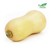 Warzywa świeże i suszone - ŚWIEŻE OPAKOWANIE ZBIORCZE (kg) - DYNIA PIŻMOWA (BUTTERNUT) ŚWIEŻA BIO (około 10 kg) - miniaturka - grafika 1