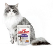 Mokra karma dla kotów - Royal Canin Sterilised w galaretce 24x85g 16498-uniw - miniaturka - grafika 1