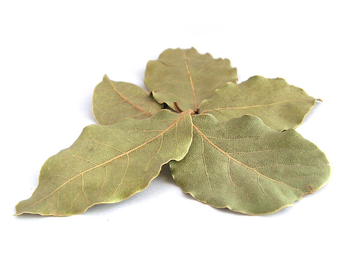 LIŚĆ LAUROWY cały suszony 100 g - Aromatika