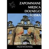 Przewodniki - Ciekawe Miejsca Zapomniane miejsca Dolnego Śląska Nizina śląska Część 1 - Jakub Jagiełło - miniaturka - grafika 1