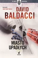 Thrillery - Miasto upadłych. Amos Decker. Tom 4 - miniaturka - grafika 1