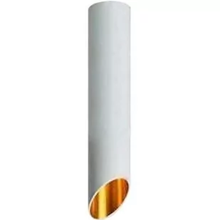 MLAMP Natynkowa LAMPA sufitowa AZT-810-BIAŁA MLAMP metalowa OPRAWA downlight LED 10W tuba biała AZT-810-BIAŁA - Lampy sufitowe - miniaturka - grafika 1