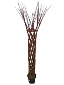 Kwiaty doniczkowe - Wierzba Pleciona - miniaturka - grafika 1