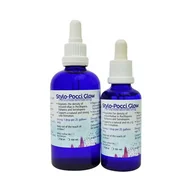 Preparaty do akwarium - Korallen-Zucht Stylo-Pocci Glow 50 ml - miniaturka - grafika 1
