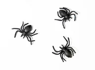 Halloween - Party Deco Pająki plastikowe czarne na Halloween - 10 szt. PHK10 - miniaturka - grafika 1