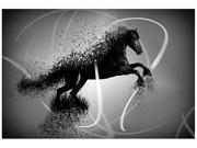 Fototapety - Oobrazy Fototapeta, Czarno biały koń fragmentaryzacja - Jakub Banaś, 8 elementów, 368x248 cm - miniaturka - grafika 1