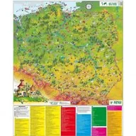 Mapy i plansze edukacyjne - Piętka Mapa Polski w obrazkach 1:750 000 - miniaturka - grafika 1